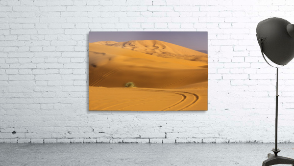3W3A2814 copy Wall Preview