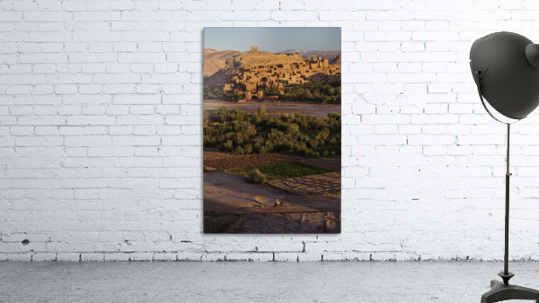 3W3A3979 copy Wall Preview