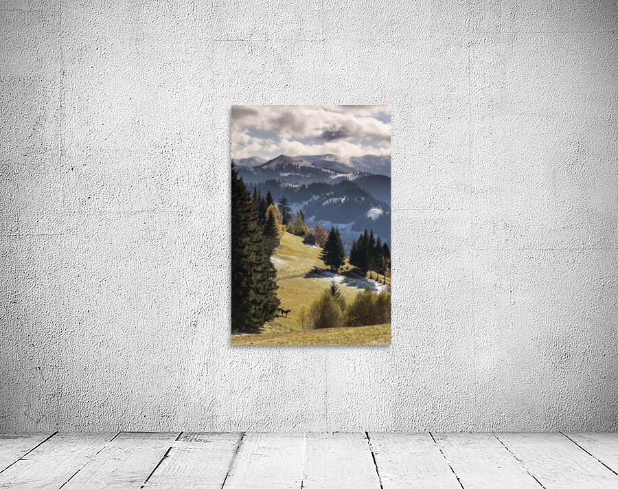 9W8A5696copy Wall Preview