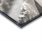 The Lonely Tree Impression Acrylique