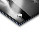 Ardvreck Castle I Acrylic print