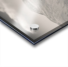 Glen Shiel Tree Impression Acrylique