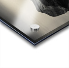 Dawn Flight Impression Acrylique