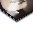 Calla Lily Acrylic print