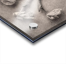 Fading Beauty Acrylic print