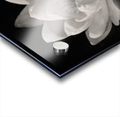 Water Lily Impression Acrylique