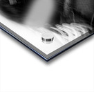 City Horses Acrylic print