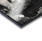 Augustus Acrylic print