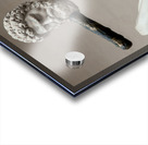 Hercules and the Centaur Nessus Impression Acrylique