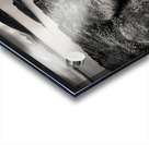 Loch Ewe Impression Acrylique