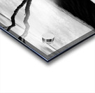 Tree and Ice Acrylic print