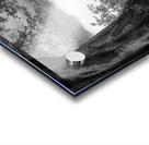 Summer Pond Acrylic print