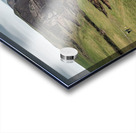 A Walk Along Sandymouth Cliffs Acrylic print