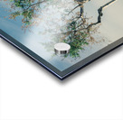 Olive Tree Acrylic print