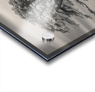 Llansteffan Cedar Tree Impression Acrylique