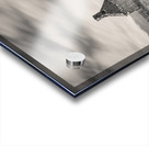 Moine House Acrylic print