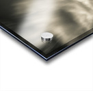 Field Tracks Acrylic print