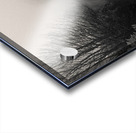 Tracks to Nowhere Acrylic print