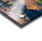 Autumn in Glenshee Acrylic print