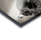 South Stack View Acrylic print