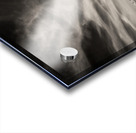 White Swan Impression Acrylique