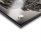 Windswept Trees Acrylic print