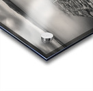 Ring and Rope Impression Acrylique