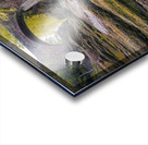 Gannochy Bridge Acrylic print