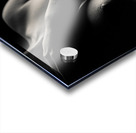 Nude Study No11 Acrylic print