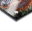 Wall Tiger Impression Acrylique