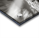 Pier End Impression Acrylique