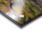 Autumn at Gannochy Bridge Acrylic print