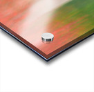 Maple in Motion Acrylic print