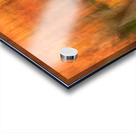 Autumn in Motion Acrylic print