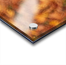 Autumn Leaves Acrylic print