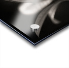 Woodland Study 6 Acrylic print