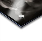 Woodland Study 9 Acrylic print