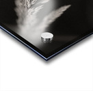 Woodland Study 7 Impression Acrylique