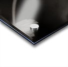 Woodland Study 10 Impression Acrylique