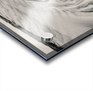 Dailbeag Sand Patterns Study 3 Acrylic print