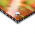 Autumn Collage Acrylic print