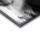 Wild Icelandic Horses Impression Acrylique