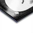 Republic of Councils Monument Impression Acrylique