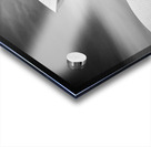 Sydney Opera House Forecourt Acrylic print