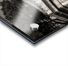 Farnese Aviary Impression Acrylique