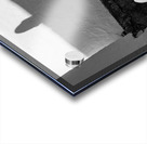 Corn Cap Impression Acrylique