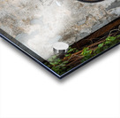 Little Children on a Bicycle Acrylic print