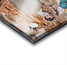 Boy With Dinosaur Impression Acrylique