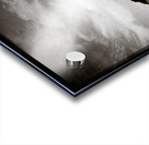 Forests Edge Acrylic print