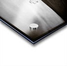 Field Tree Acrylic print